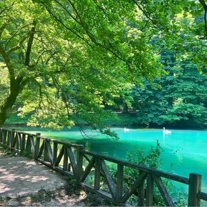 Meet your Posher, Mina